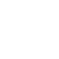 Terra Virtua Logo