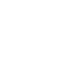 Paradox Interactive Logo